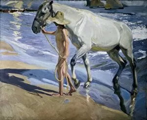Impressionist Collection: SOROLLA, Joaqu�(1863-1923). White Horse. 1909