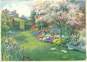 The J Salmon Archive Collection: A spring border