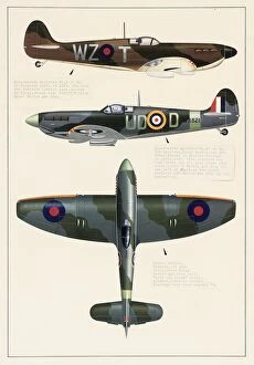 Royal Aeronautical Society Pillow Collection: Supermarine Spitfire and Hawker Tempest aeroplanes