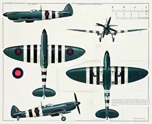 Royal Aeronautical Society Pillow Collection: Supermarine Type 365 Spitfire aeroplane
