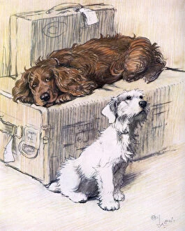 Terrier Collection: Can t We Come Too? by Cecil Aldin