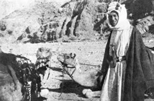 Revolt Collection: T E Lawrence (Lawrence of Arabia) with camels