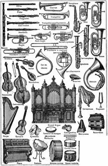 Violin Collection: Various musical instruments