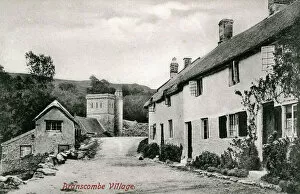 Devon Collection: The Village, Branscombe, Devon
