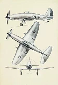 Royal Aeronautical Society Fine Art Print Collection: Westland Wyvern VP120 aeroplane