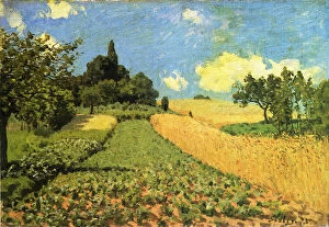 Alfred Sisley Premium Framed Print Collection: Wheatfield: the Hillside near Argenteuil Date: 1873