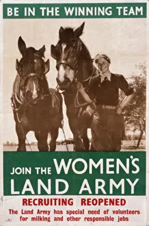 Winning Collection: Womens Land Army poster