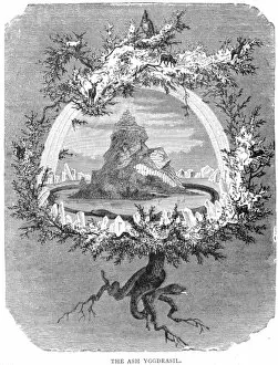 Myth Collection: Yggdrasil, the Tree of Life in Norse mythology