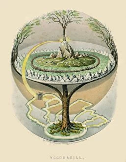 Northern Tree Snake Framed Print Collection: Yggdrasil, the Tree of Life in Norse mythology