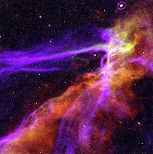 Masterful detailing in art Fine Art Print Collection: Cygnus Loop Supernova Blast Wave