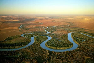 Australia Collection: Aerial - Murray River and its meanders - between Wentworth (NSW) and Renmark