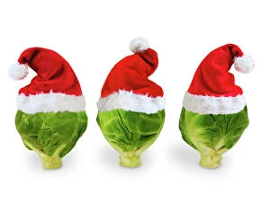 Funny Collection: Brussel Sprouts - in Christmas hats Digital Manipulation: SU hats