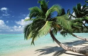 Related Images Mouse Mat Collection: EAST MADAGASCAR - COCONUT PALMS & BEACH