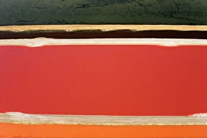Desert landscapes Poster Print Collection: Evaporation ponds for the commercial extraction of sea salt - showing the bright resulting colours