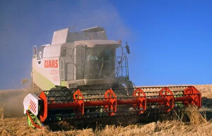 Farmer Collection: Farming - wheat harvest & combine harvester