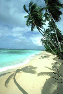 Landscapes Fine Art Print Collection: FIJI - Taveuni Island, Beach, Coconut Palms & Shadow