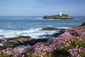 Scenic landscapes Premium Framed Print Collection: Godrevy Island and Lighthouse - from Gwithian - thrift - Cornwall - UK