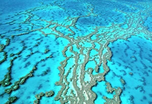 Australia Pillow Collection: Great Barrier Reef Marine Park - Hardy Reef Queensland, Australia