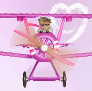 Valentine's Day Metal Print Collection: Hamster - flying aeroplane Digital Manipulation: backround colour, plane brown to pink, heart cloud