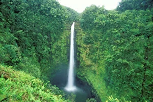 Landscape paintings Canvas Print Collection: Hawaii Akaka Falls, Big Island