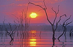 Sunset landscapes Collection: Lake Kariba - Sunset over drowned trees - Africa, Zimbabwe, Matusadona NP