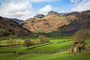Scenic landscapes Fine Art Print Collection: Langdale Pikes in autumn sunshine - Lake District - England