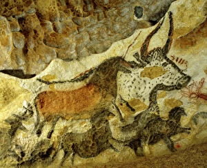 Caves Collection: Lascaux cave painting Period: Paleolithic, c. 18, 000 years ago, Vezere Valley, Dordogne