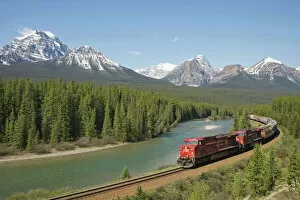 Scenic landscapes Poster Print Collection: Morant's Curve - Canadian Pacific Railway with Bow range of mountains in the background - Banff