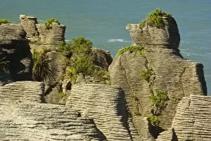 Flat Earth Collection: Pancake Rocks famous flat limestone rock formations at Punakaiki in the shape of a man with a cap