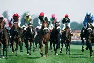 Horse Racing Jigsaw Puzzle Collection: Picture No. 10749828
