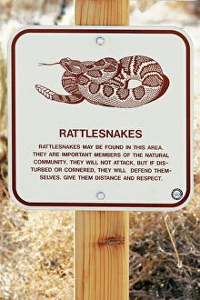 Related Images Poster Print Collection: Rattlesnake Warning Sign