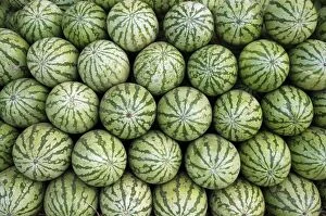 Melon Collection: Water melons for sale in India (but cultivated widely elsewhere). Originally from tropical Africa