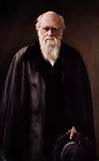 Naturalist Collection: 1881 Charles Darwin Portrait aftr Collier