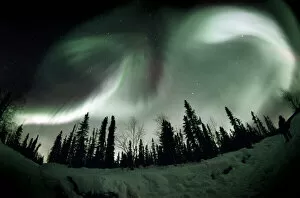 Aurora Borealis Collection: Aurora borealis