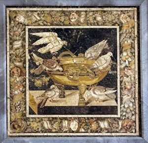 Ancient Rome Collection: Doves on a drinking vessel, Roman mosaic
