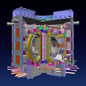 Research Collection: Fusion research, tokamak device