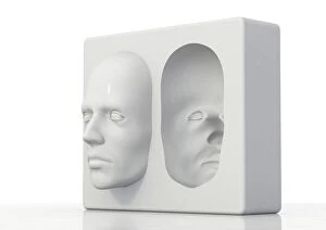 Face Collection: Hollow-face illusion, artwork