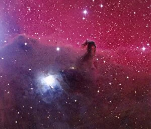 Star Field Collection: Horsehead Nebula
