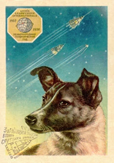 Related Images Fine Art Print Collection: Laika the space dog postcard