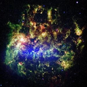 Emission Nebula Collection: Large Magellanic cloud