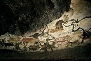 Fine Art Pillow Collection: Lascaux II cave painting replica C013 / 7378
