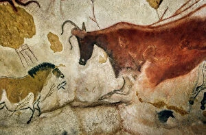 Cave Paintings Collection: Lascaux II cave painting replica C013 / 7382