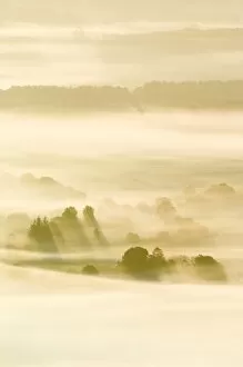Misty Collection: Morning mist over farmland