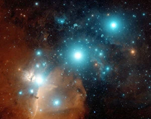 Stellar Collection: Orions belt