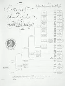Carl Linnaeus Mouse Mat Collection: Plant sex system by Linnaeus, 1807