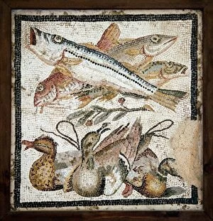 Related Images Canvas Print Collection: Red mullets and ducks, Roman mosaic
