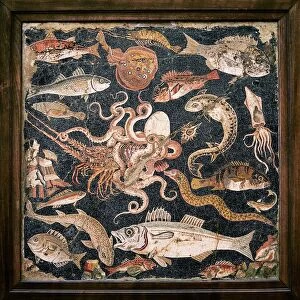 Eel Premium Framed Print Collection: Roman seafood mosaic