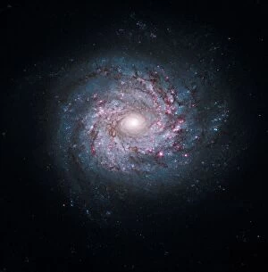 Galaxies Collection: Spiral galaxy, HST image C013 / 5098
