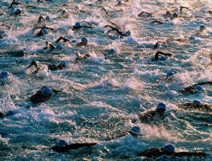 Grouper Metal Print Collection: Triathlon swimmers