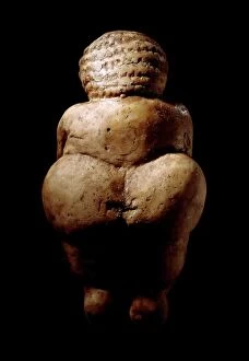 Posters Metal Print Collection: Venus of Willendorf, Stone Age figurine